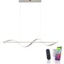 Paul Neuhaus Q-SWING 2385-55 Suspension lumineuse 1x28W/LED 2700-5000k 3100lm ip20