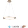 Paul Neuhaus TITUS 2382-60 Suspension lumineuse 1x44W/LED 3000k 5250lm ip20