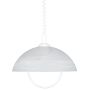 Prezent ALBERT 23068 Suspension lumineuse 1x60W/E27 IP20