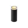 Garden Lights LINUM 2519061 Lampe sur pied 1x2W/GU5,3/MODUL12LED
