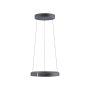 Paul Neuhaus PURE E-CLIPSE 2560-15 Suspension lumineuse 2x20W/LED 2700K-5000K 1000lm IP20