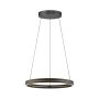 Paul Neuhaus PURE E-LOOP 2551-18 Suspension lumineuse 2x22W/LED 2700K-5000K 1600lm IP20