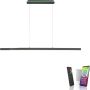 Paul Neuhaus Q-ARIAN 2569-13 Suspension lumineuse 4x55W/LED 2700-5000k 5520lm ip20