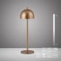 Paul Neuhaus BELLIS 19244-12 Lampe de table 1x2,5W/LED 3000k 210lm ip54