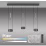 Paul Neuhaus PURE CLIPSE 2473-15 Suspension lumineuse 6x5W/LED 2200-5000k 670lm ip20