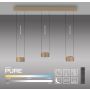 Paul Neuhaus PURE CLIPSE 2473-97 Suspension lumineuse 6x5W/LED 2200-5000k 670lm ip20