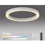 Paul Neuhaus PURE LINES ROUND 6309-16 Lampe de plafond 1x30W/LED 2200-5000k 3300lm ip20