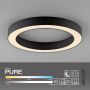 Paul Neuhaus PURE LINES ROUND 6310-13 Lampe de plafond 1x21W/LED 2200-5000k 1600lm ip20