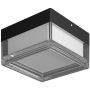 Italux Nefis PLF-53628-BK Lampe de plafond 1x9W/LED IP65