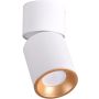 Polux NIXA 314260 Spot en saillie 1x10W/GU10 IP20