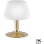 Paul Neuhaus TILL 4078-60 Lampe de table 1x2,6W/G9 ip20
