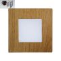Prezent STEP LIGHT 48307 Lampe d'escalier encastrée 1x1W/LED 60lm IP20