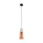 Eglo FRAMPTON 49153 Suspension lumineuse 1x60W/E27 IP20