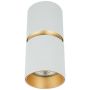 Zambelis CEILING SPOT S161 Spot en saillie 1x40w/GU10 IP20