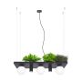 Zuma Line PLANT 5555 Suspension lumineuse 40W/3xE14|2xgu10 IP20