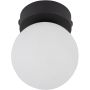 TK Lighting MINI 5613 Plafonnier 1x6W/G9 IP20