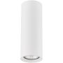 Alfa ARTEMIS 59024 Spot en saillie 1x10W/GU10