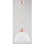 Alfa INEZ 60402 Suspension lumineuse 1x15W/E27