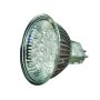 Garden Lights LED BULB 6022101 Ampoule 3W 6500K 200LM