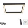 Paul Neuhaus PURE-LINES 6022-13 Lampe de plafond 1x29W/LED 2700-5000k 2500lm ip20