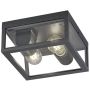 Trio GARONNE 601860242 Lampe de plafond 2x10w/e27 ip44