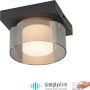 Paul Neuhaus RIKA 6162-18 Lampe de plafond 1x6W/LED 3000k 680lm ip20