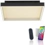 Paul Neuhaus Q-MAGONG 6316-18 Lampe de plafond 1x40W/LED 2700-5000k 5700lm ip20