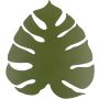 TK Lighting MONSTERA 6435 Applique murale 4x6W/G9 IP20