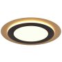 Trio MORGAN 641519280 Lampe de plafond 1x42w/led 2700-6500k 5600lm ip20