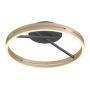 Paul Neuhaus PURE LOOP 6552-68 Lampe de plafond 2x42W/LED 2700K-5000K 2700lm IP20
