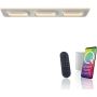 Paul Neuhaus Q-KALINA 6505-16 Lampe de plafond 1x61W/LED 2700-5000k 6700lm ip20