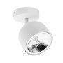 TK Lighting ALTEA 6512 Spot 1x12W/AR 111GU10