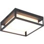 Trio WITHAM 677860142 Lampe de plafond 1x14w/led 2300+3000+4000k 1550lm ip54