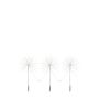 Markslojd ZOEY 705875 Décoration de Noël extérieure 279x3.6W/LED IP44