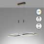 Fischer&Honsel Torcido 61018 Suspension 1x27W/LED 2700K 3200 lm IP20