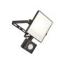 Endon SCIMITAR PIR 73452 Applique murale 10W/LED 4000K 800LM IP44