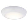 Endon FORCA 77892 Plafonnier 12W/LED 4200K 1140LM IP65