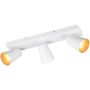 Trio SHARP 817100331 Spot 3x10w/gu10 ip20