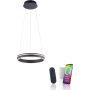 Paul Neuhaus Q-VITO 8410-13 Suspension lumineuse 1x33W/LED 2700-5000k 3250lm ip20