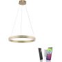 Paul Neuhaus Q-VITO 8411-60 Suspension lumineuse 1x44W/LED 2700-5000k 4550lm ip20