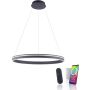 Paul Neuhaus Q-VITO 8412-13 Suspension lumineuse 1x65W/LED 2700-5000k 7000lm ip20