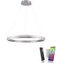 Paul Neuhaus Q-VITO 8412-55 Suspension lumineuse 1x65W/LED 2700-5000k 7000lm ip20