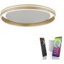 Paul Neuhaus Q-VITO 8416-60 Lampe de plafond 1x44W/LED 2700-5000k 4570lm ip20