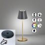 Fischer&Honsel Cosenza 850338 Lampe de table 2x2W/LED RGBW 180lm IP44