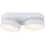 Lutec STANOS 8600502446 Lampe de plafond 2x13.6w/led 2700K-6500K(CCT) 800lm ip20