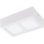 Eglo COLEGIO 95201 Plafonnier 2x4,2W/LED 1100LM