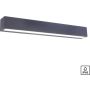 Paul Neuhaus ROBERT 9676-13 Applique murale 1x36W/LED 3000k 4690lm ip65