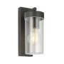 Endon HAYDEN 98439 Applique murale 15W/E27 IP44