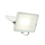 Endon SALDE 98445 Projecteur halogène 30W IP65