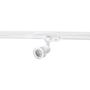 AZzardo JANE TRACK AZ2460 Projecteur sur rail 1x50W/GU10 IP20